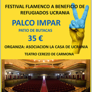 Entrada_palco_impar_patio_butacas